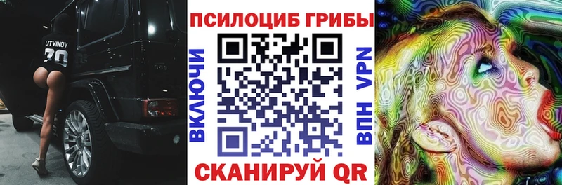 Псилоцибиновые грибы мицелий  Кинель 