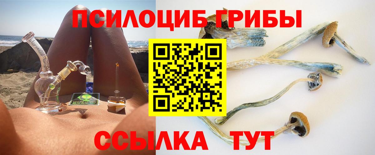 Псилоцибиновые грибы Psilocybine cubensis Кинель